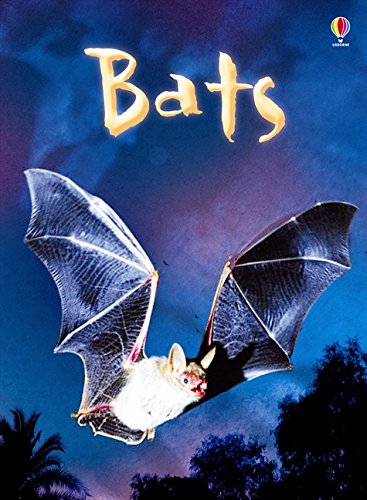 Bats (Usborne Beginners)