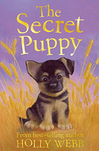 The Secret Puppy: 22 (Holly Webb Animal Stories)